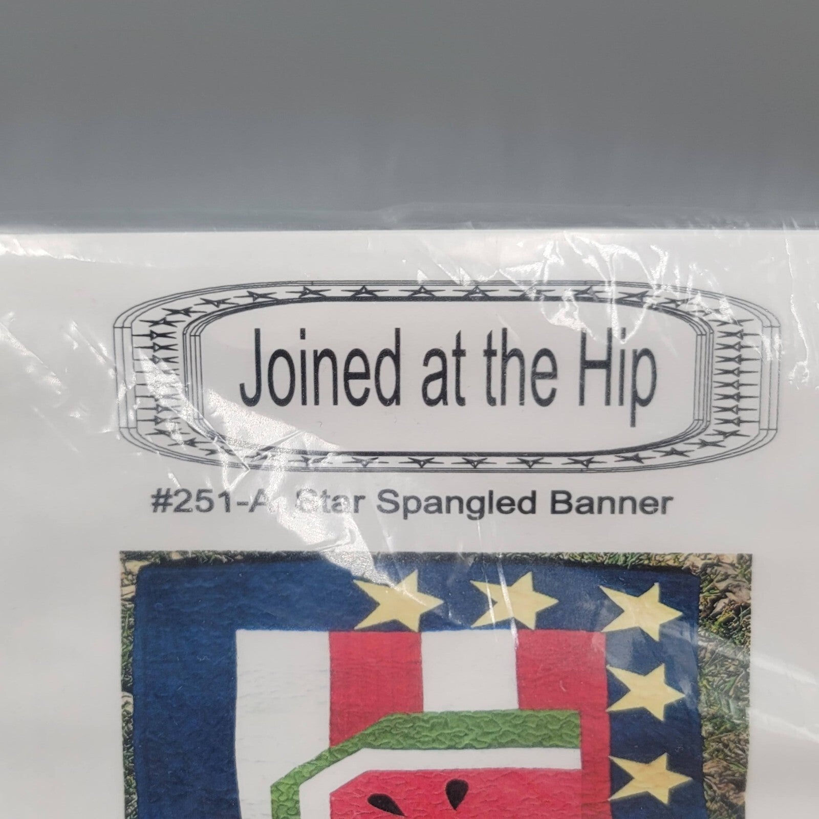Joined At The Hip Star Spangled Banner Wall Quilt Pattern #251-A