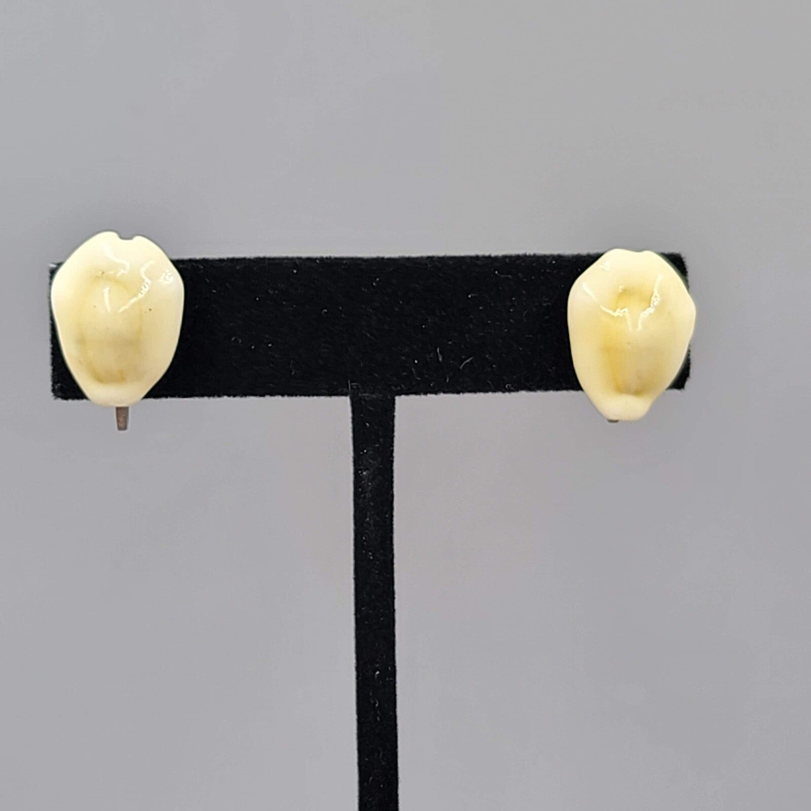 Vintage Cowrie Shell Clip on Earrings Studs 5/8"