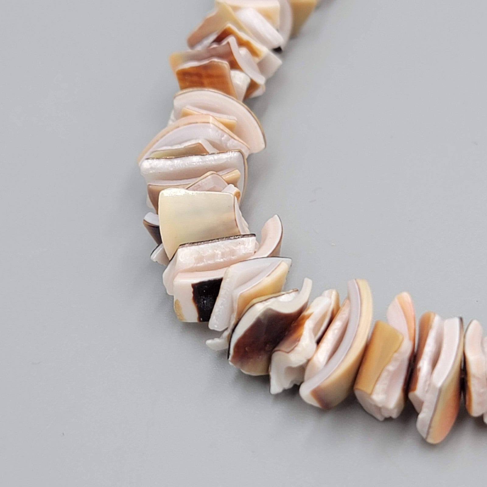 Vintage Shell Chip Multicolor Barrel Clasp 6.75 in