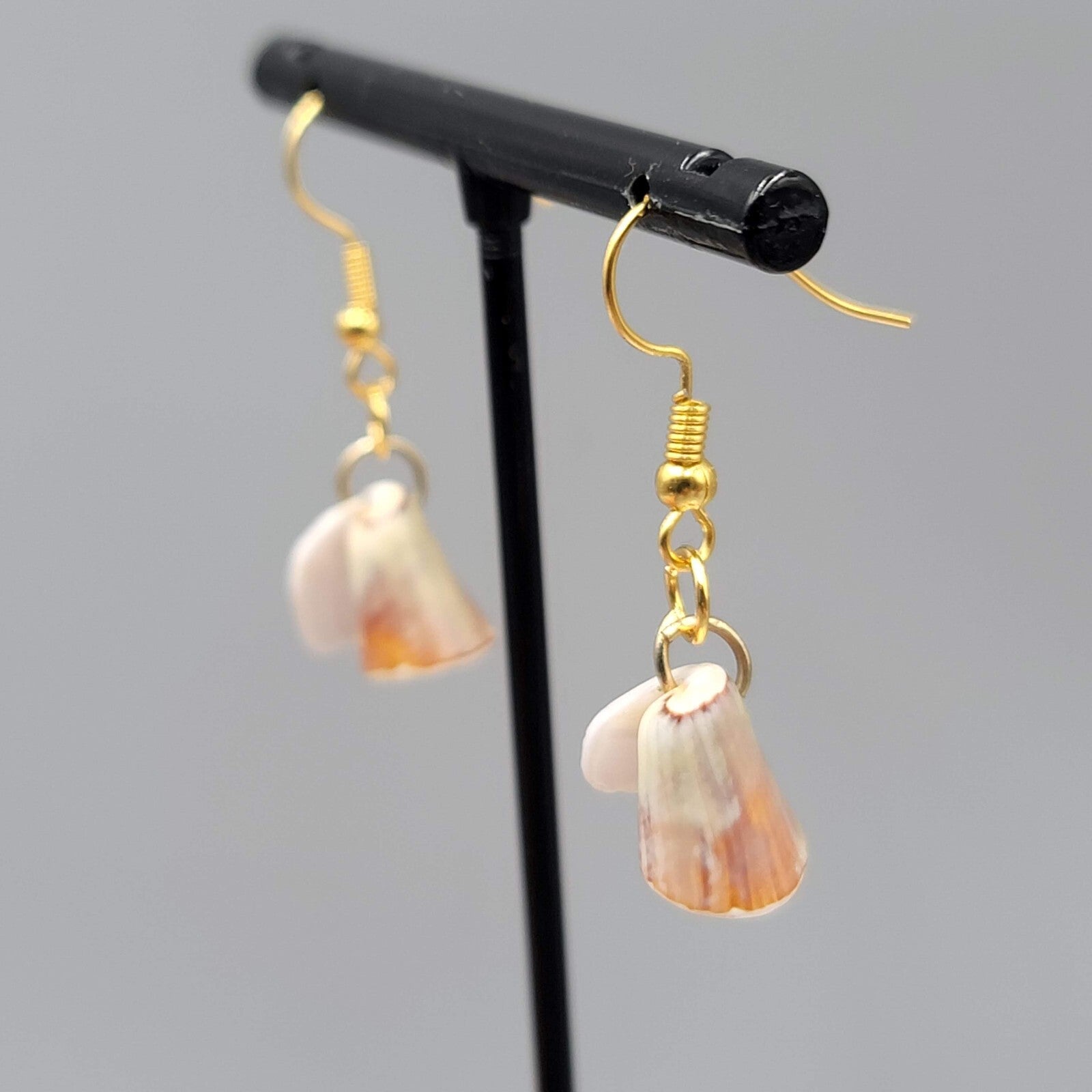 Real Shell Pierced Earrings Gold tone Dangle 3/4"