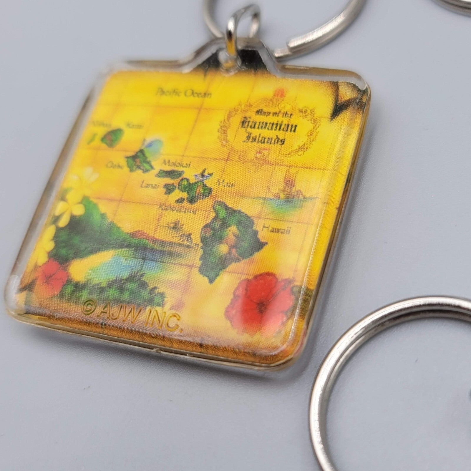 Lot of 4 Hawaii Hawaiian Souvenir Acrylic Assorted Keychain Keyring Pre-owned