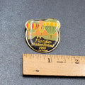 Vtg 1989 2nd Annual Fort Collins Balloon Festival Pin Hot Air Balloons Gold Tone