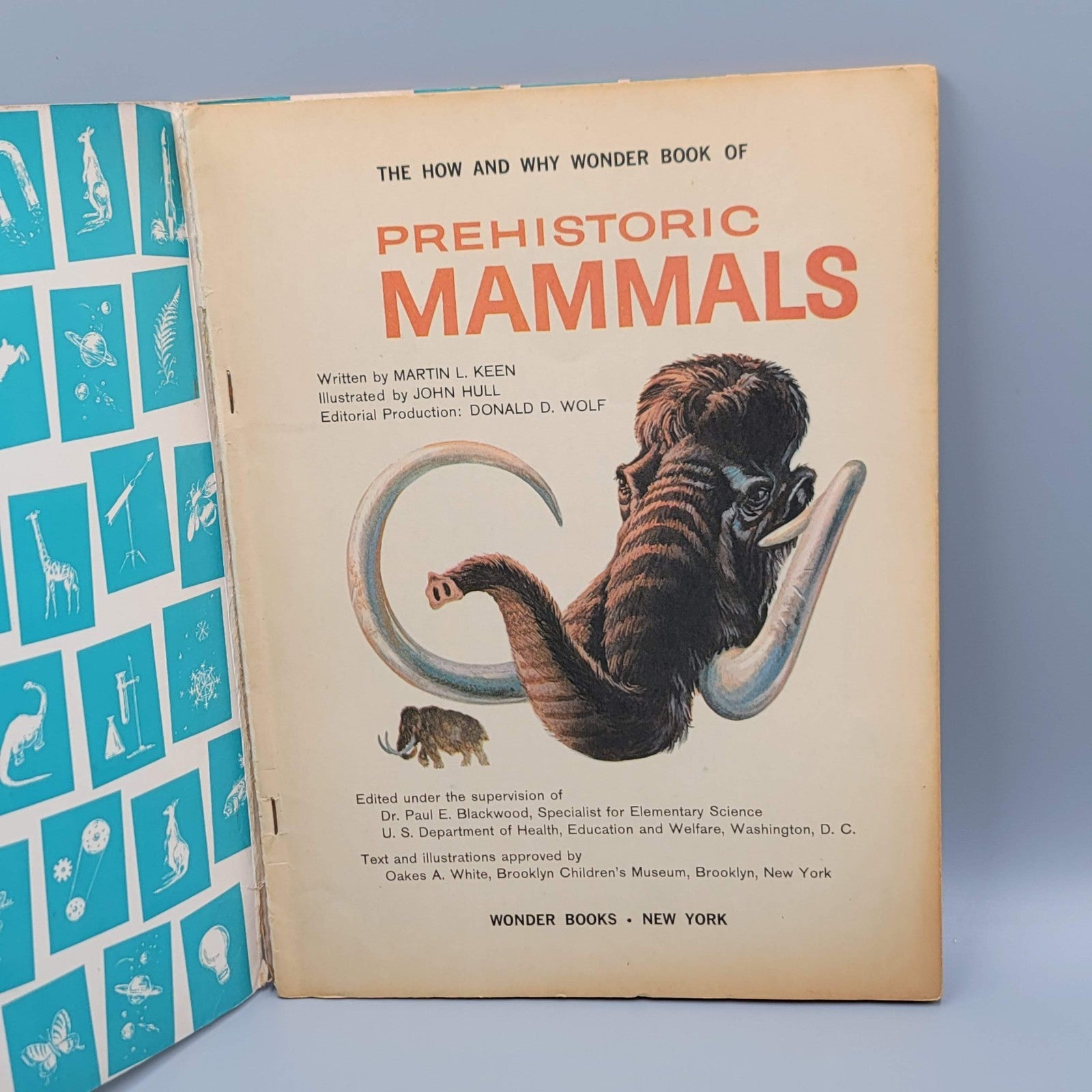 Vintage 1962 The How & Why Wonder Book Of Prehistoric Mammals PB
