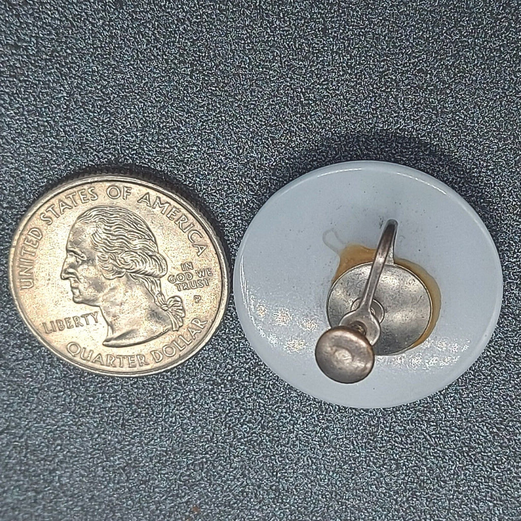 Vintage Clip on Earrings Blue Chatoyant Resin Disc Button Style 1" Screw Back