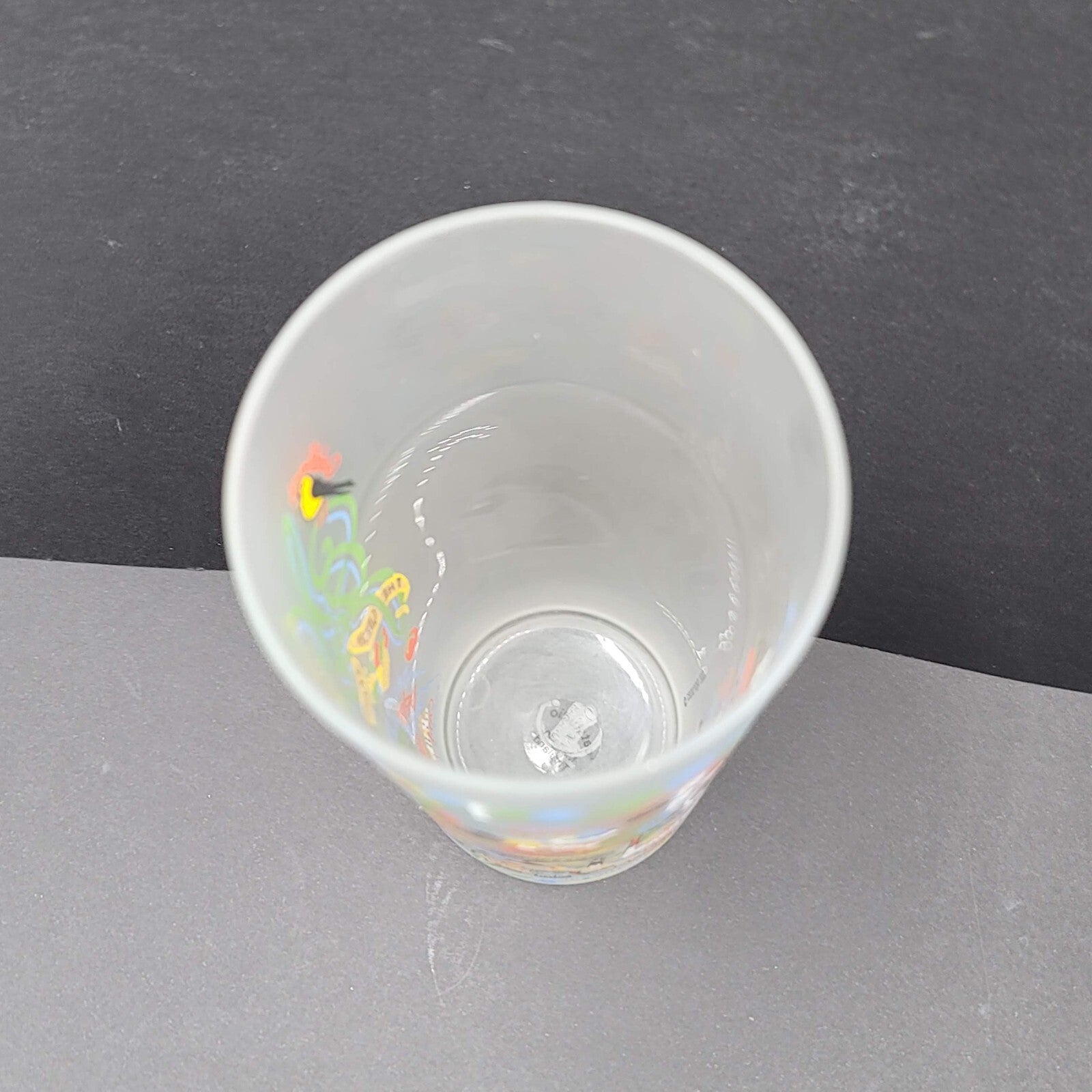Cat Studio Geography New Jersey Frosted Drinking Glass Tumbler 6"