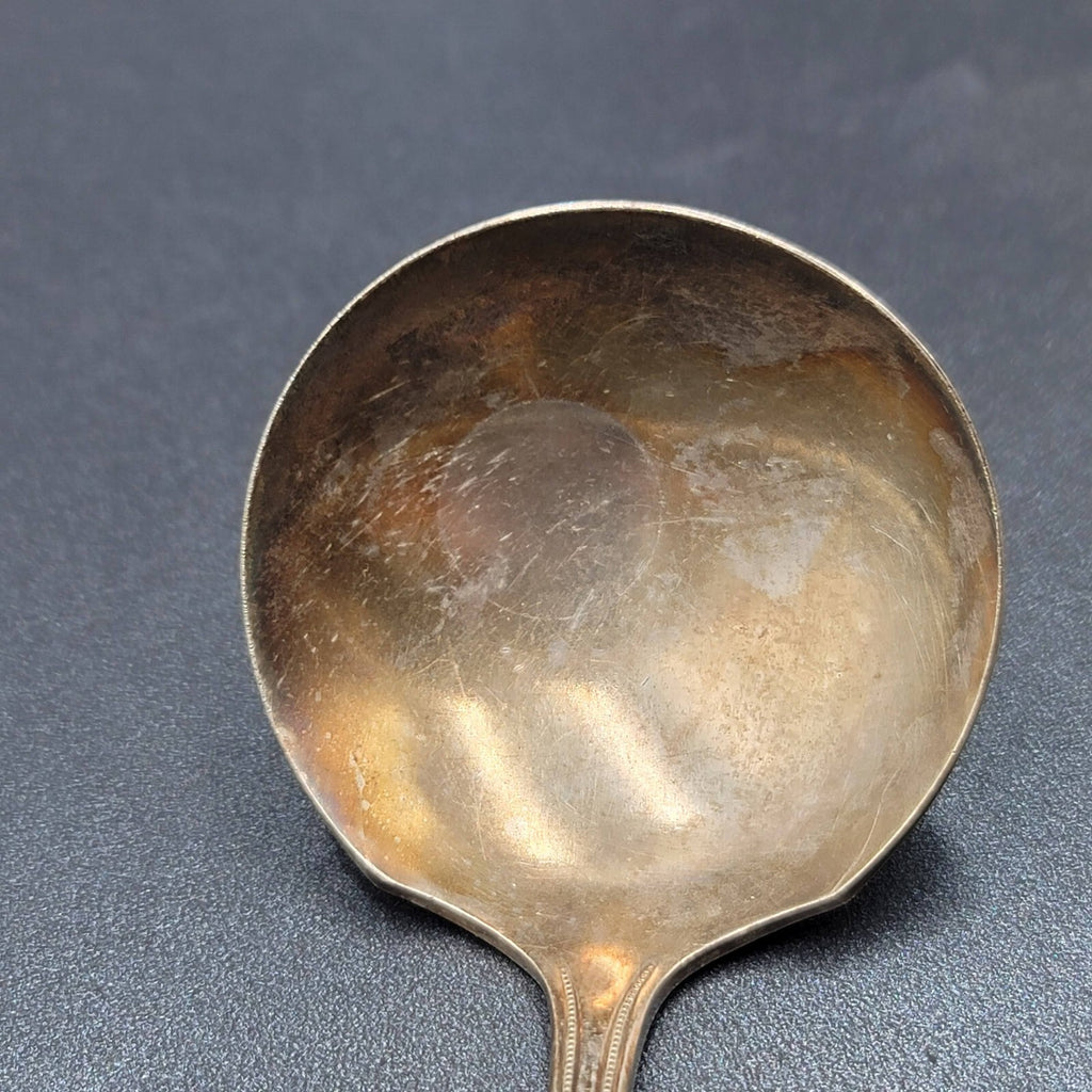 Vintage Wm Rogers Son AA Silver plate Set Serving Spoon Ladle 7.2"