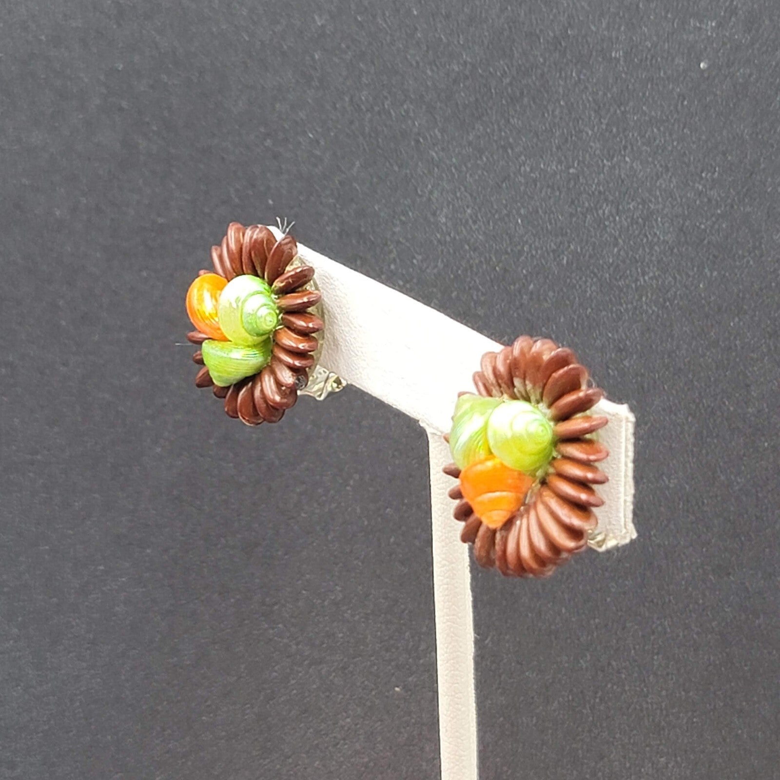 Vintage Clip on Earrings Apple Seed Seashells Button Style 1"