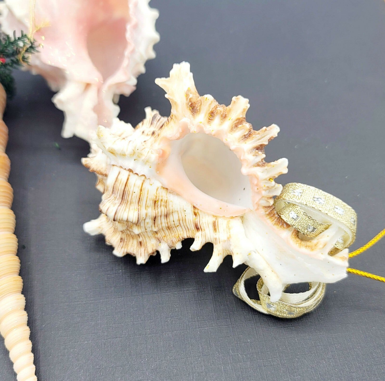 Sea Shell Christmas Ornaments Large Holiday White Glitter Lot of 3