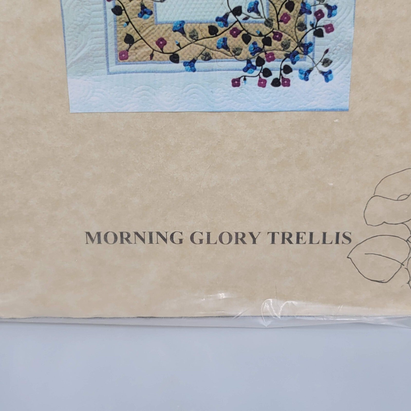 Country Heirlooms Morning Glory Trellis Quilt Pattern Only Size 92"x110"