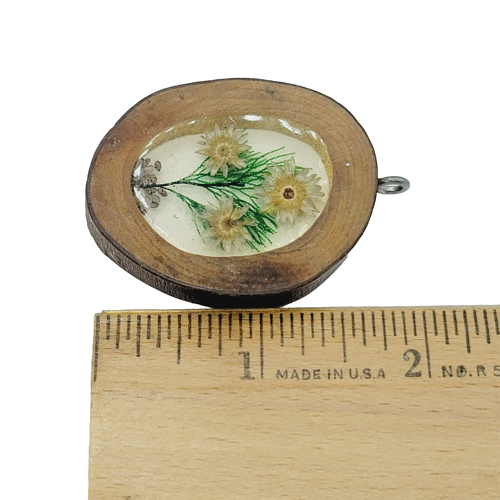 Vintage Oval Shaped Pendant Lucite Dried Flowers Wood Frame 