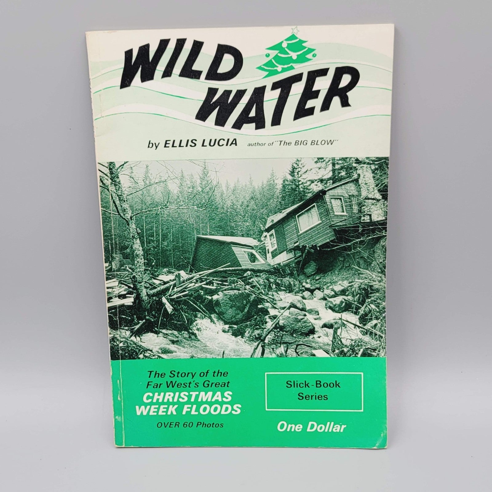 Wild Water by Ellis Lucia Vintage 1965 The Christmas Week Floods