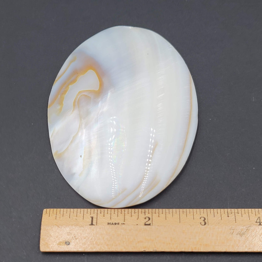 Vintage Large Sea Shell Belt Buckle Clip Mother of Pearl 4"x3"