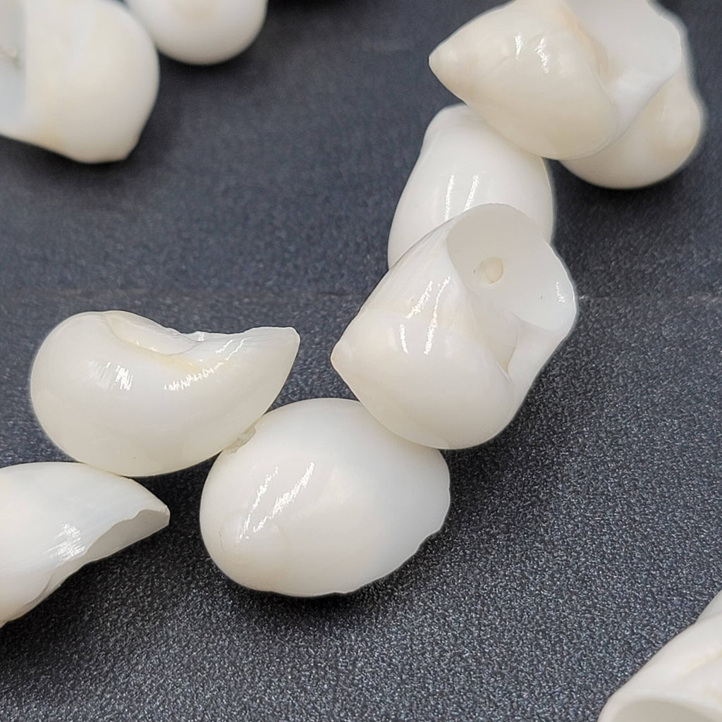 Vintage White Sea Shell Necklace Bracelet Clip Screw Back Earring Set