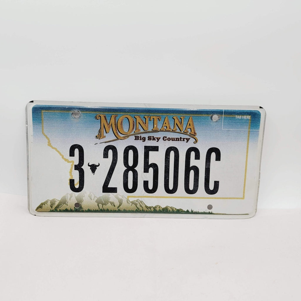 License Plate Vintage MONTANA 3 28506C 12" x 6"