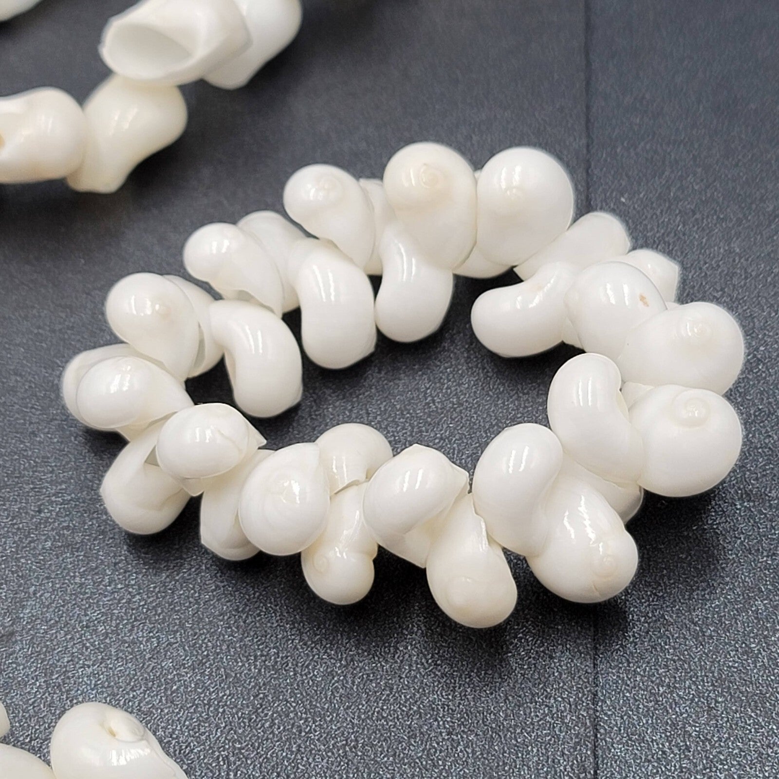 Vintage White Sea Shell Necklace Bracelet Clip Screw Back Earring Set