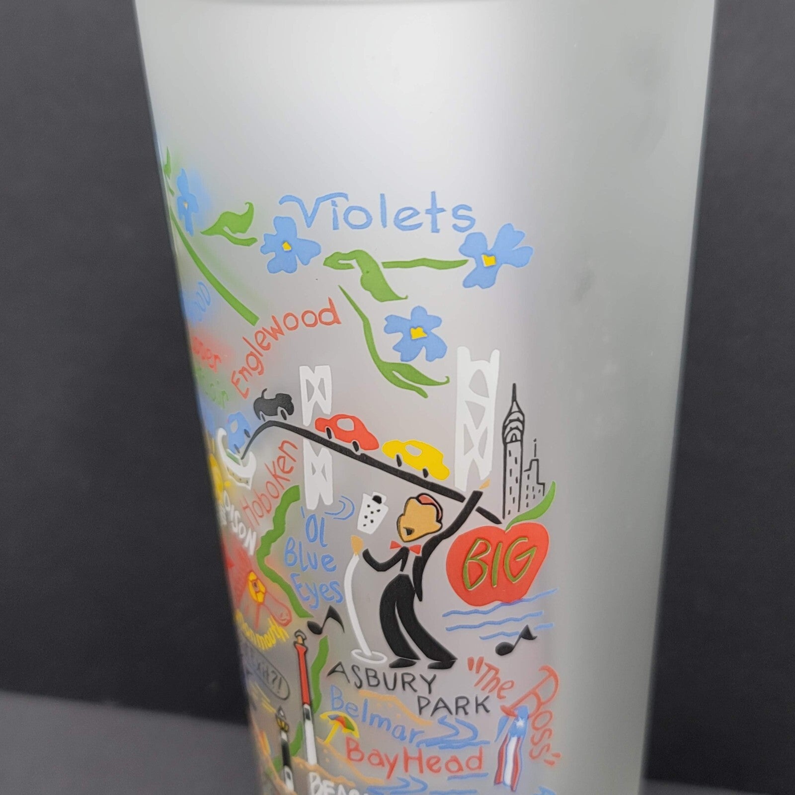 Cat Studio Geography New Jersey Frosted Drinking Glass Tumbler 6"