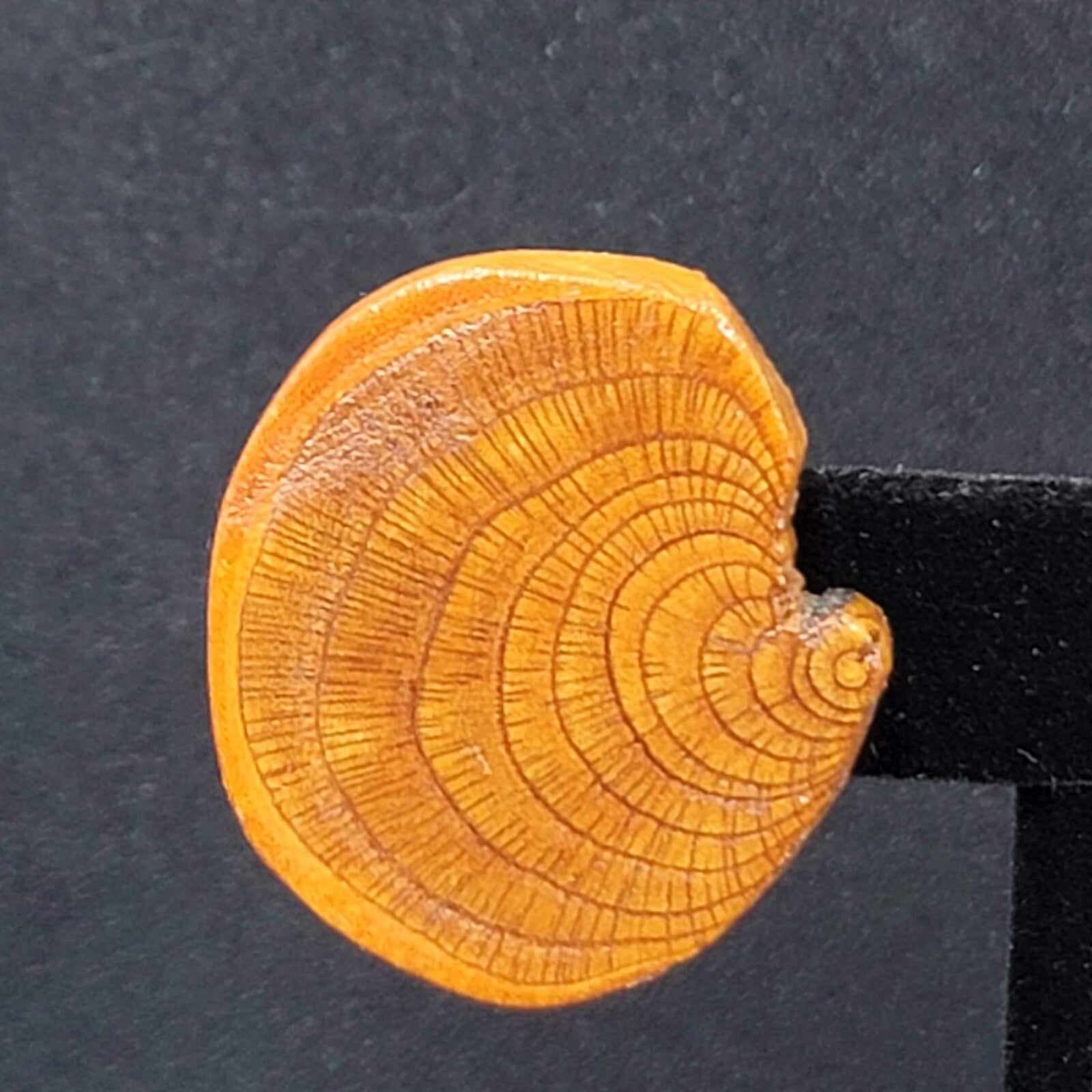Vintage Clip on Earrings Real Wood Statement Drop 1.25"
