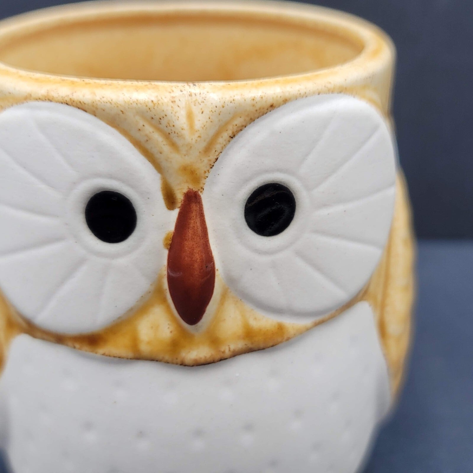 Ceramic 3D Owl Coffee Mug Hand Painted Kitsch Cute
