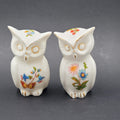 Vintage Bone China SALT and PEPPER Shakers Owls Flowers Butterfly 3.25 in