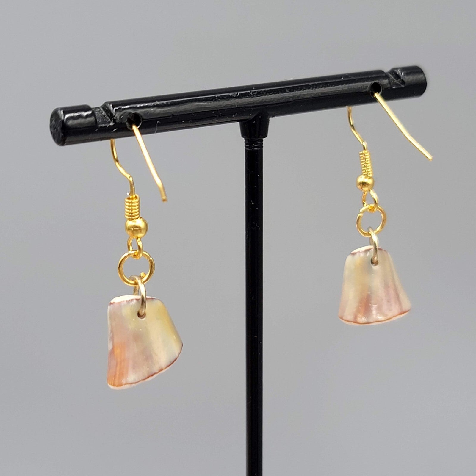 Real Shell Pierced Earrings Gold tone Dangle 3/4"