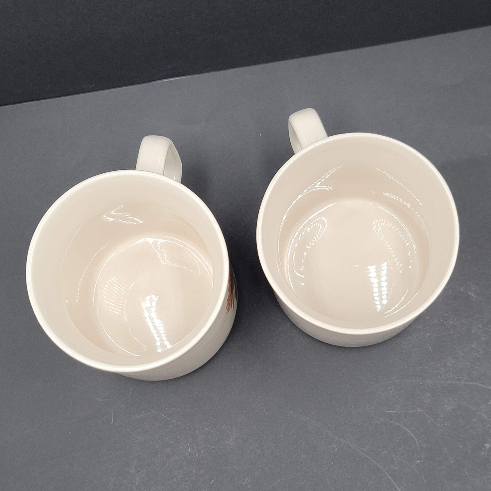 Vintage Gibson Housewares Cottage Sunflower Cup Mug Set of 2