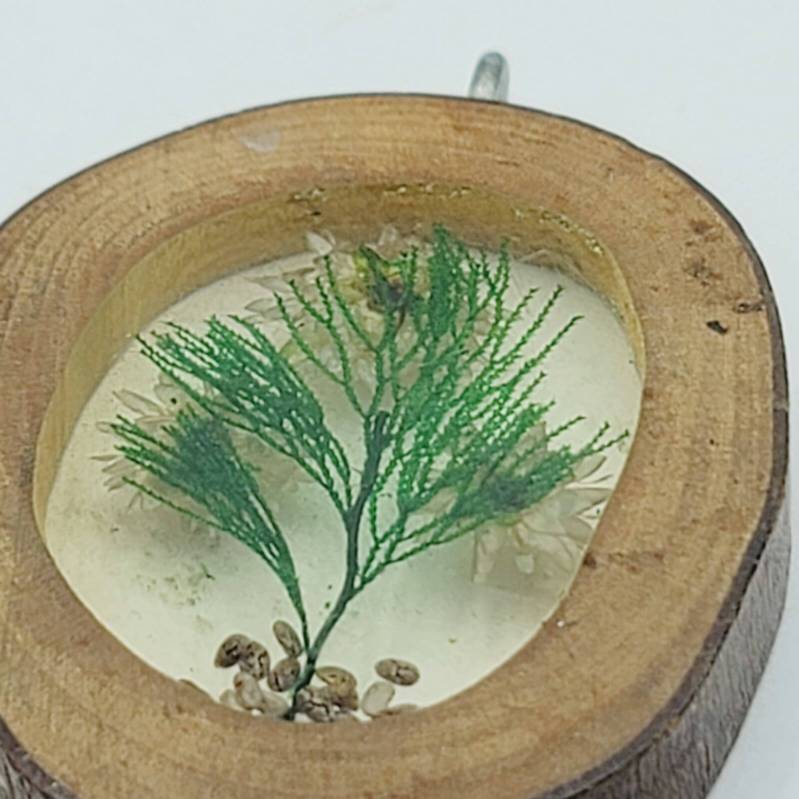 Vintage Oval Shaped Pendant Lucite Dried Flowers Wood Frame 