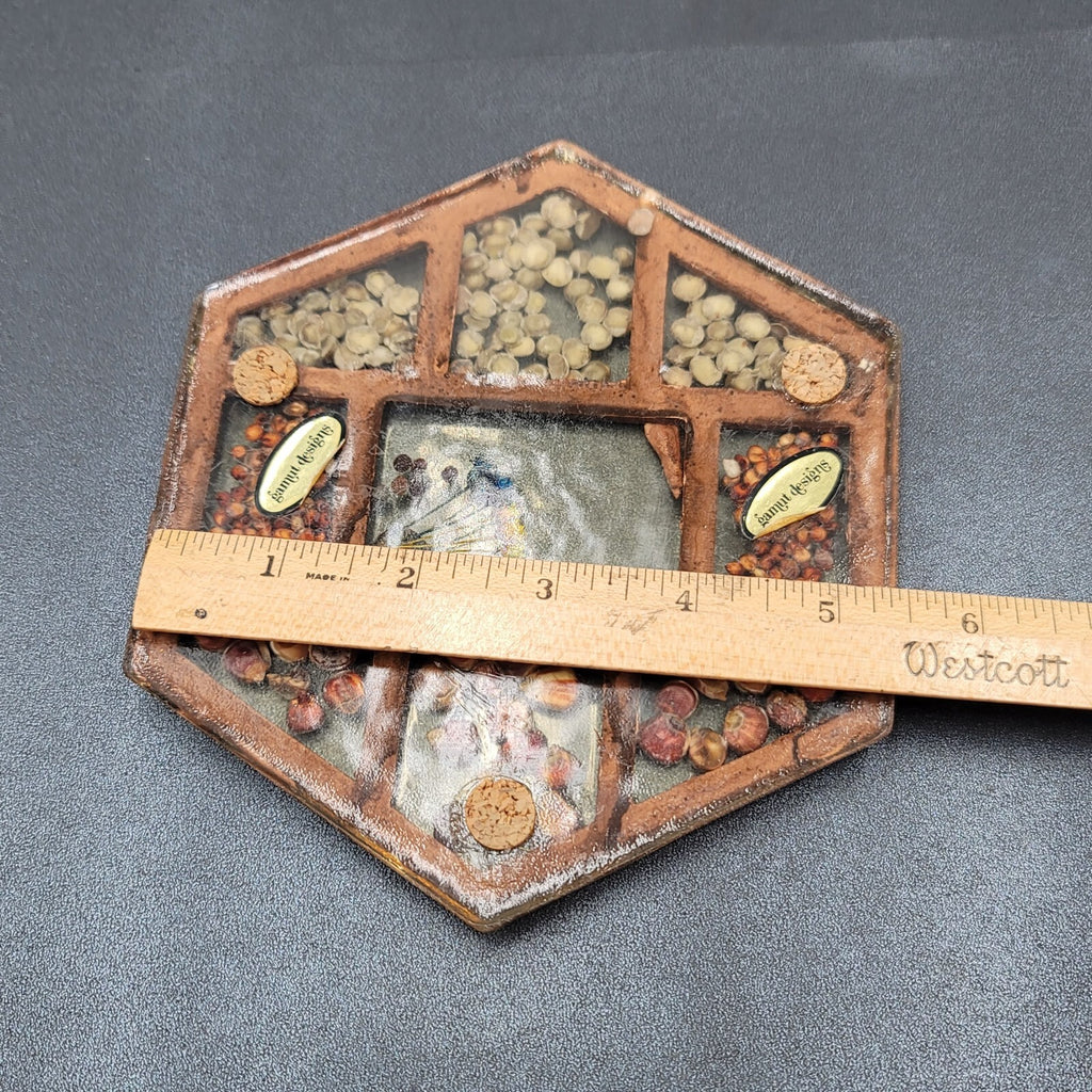 Vintage Gamut Designs Trivet Dried Flowers Seeds Boho Mid Century Hexagon 5.5"