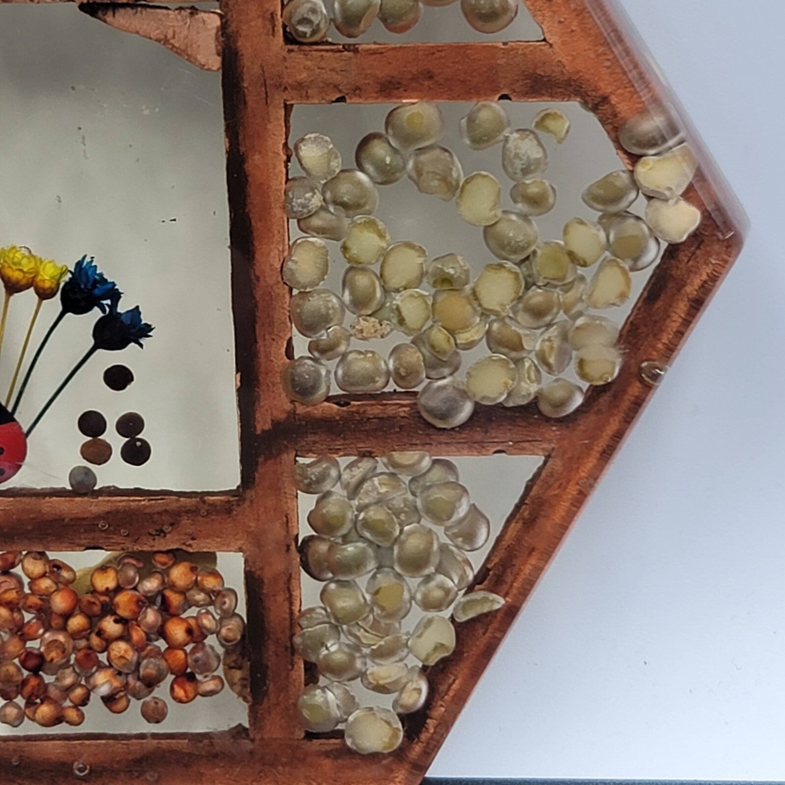 Vintage Gamut Designs Trivet Dried Flowers Seeds Boho Mid Century Hexagon 5.5"