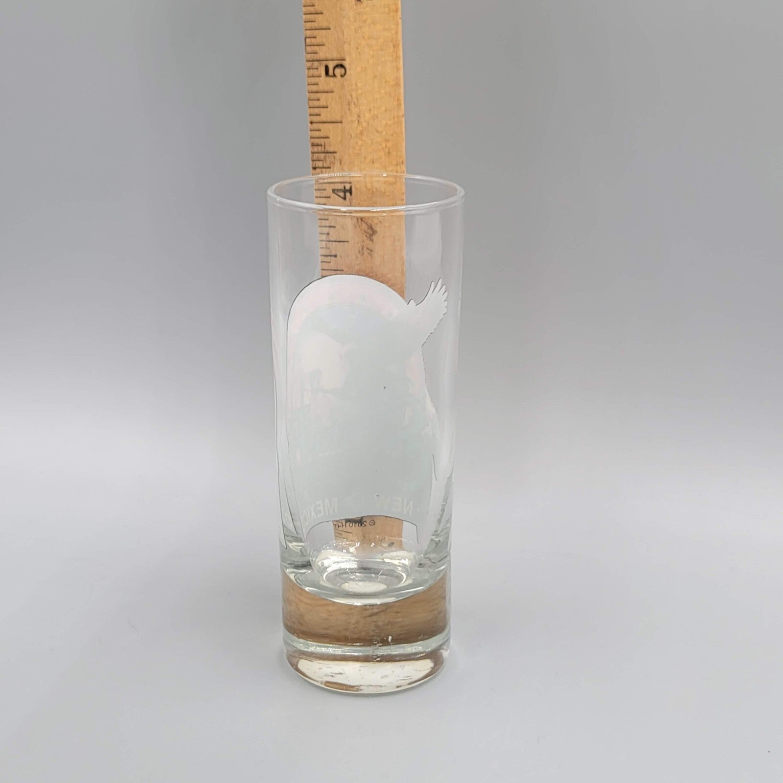 Santa Fe Harley Davidson New Mexico Tall Shot Glass Shooter 4 in
