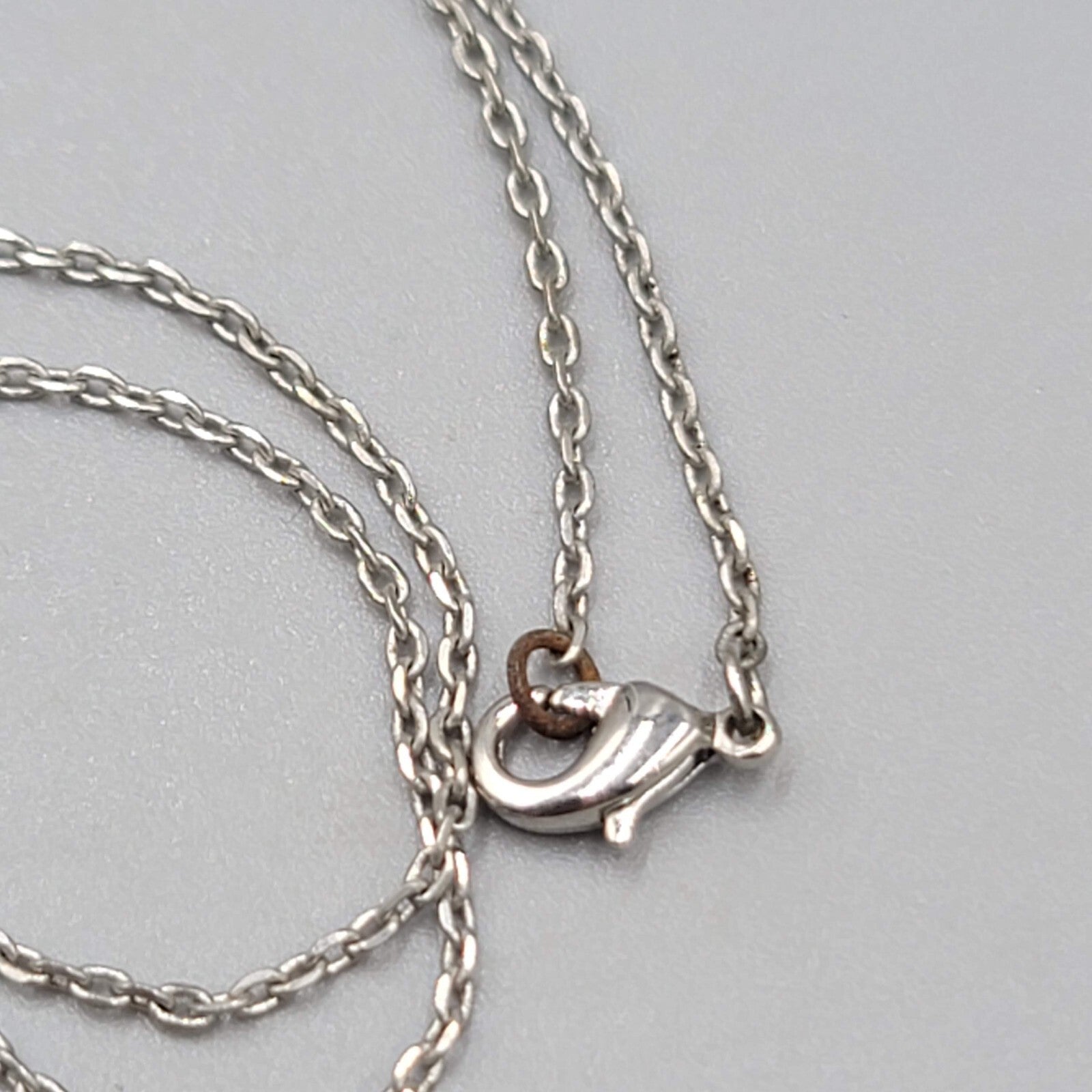 Paw Prints on my Heart Pendant Necklace Silver tone Chain 18"