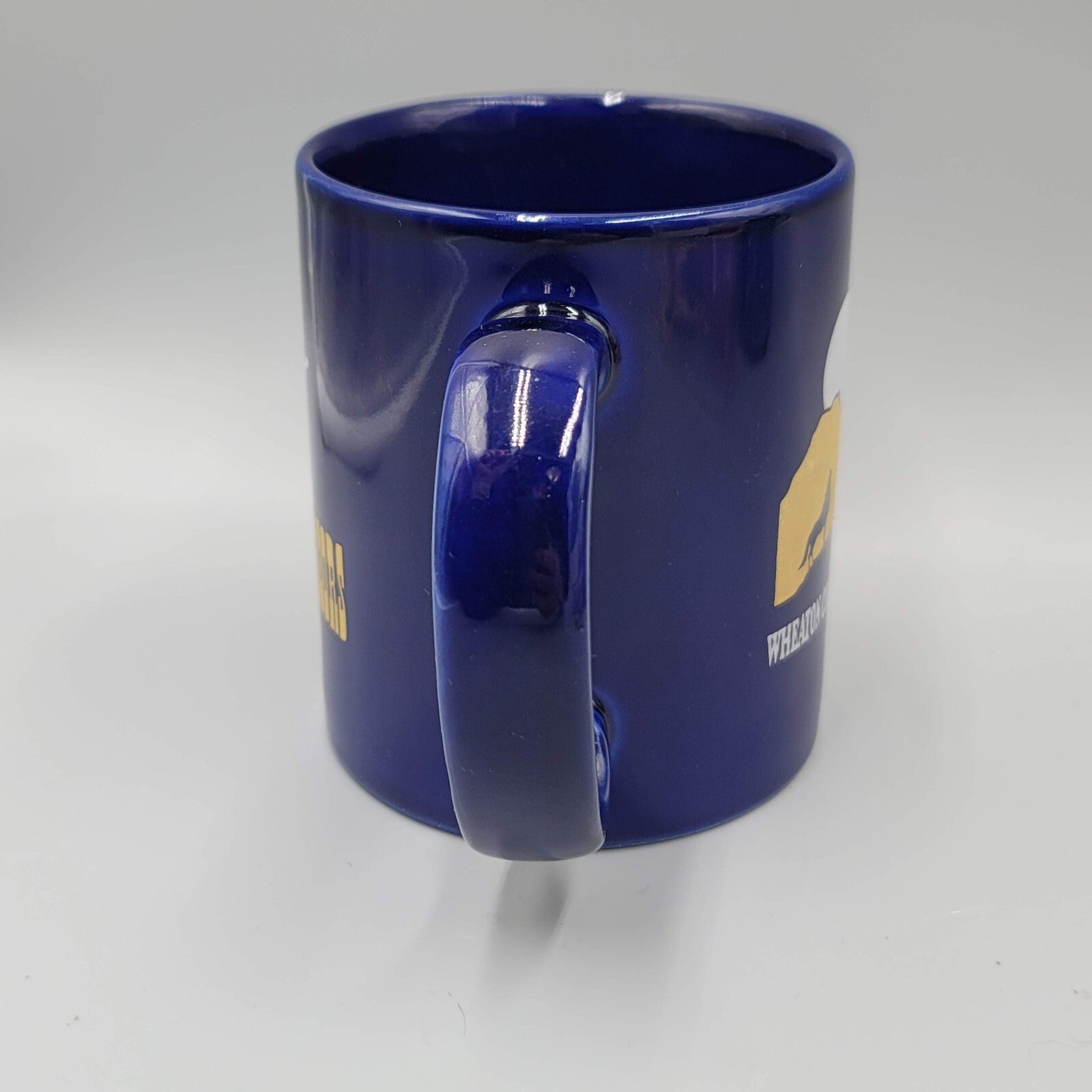 Wheaton College Science Station Coffee Mug Cup The Black Hills Souvenir