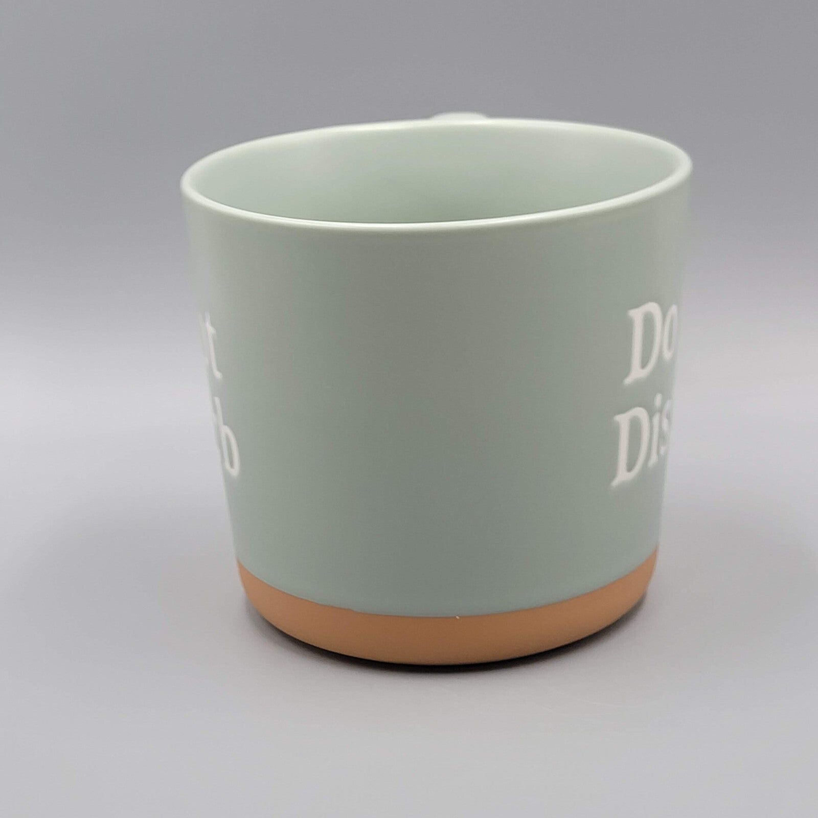 Do Not Disturb Coffee Mug Threshold Sage Green Large
