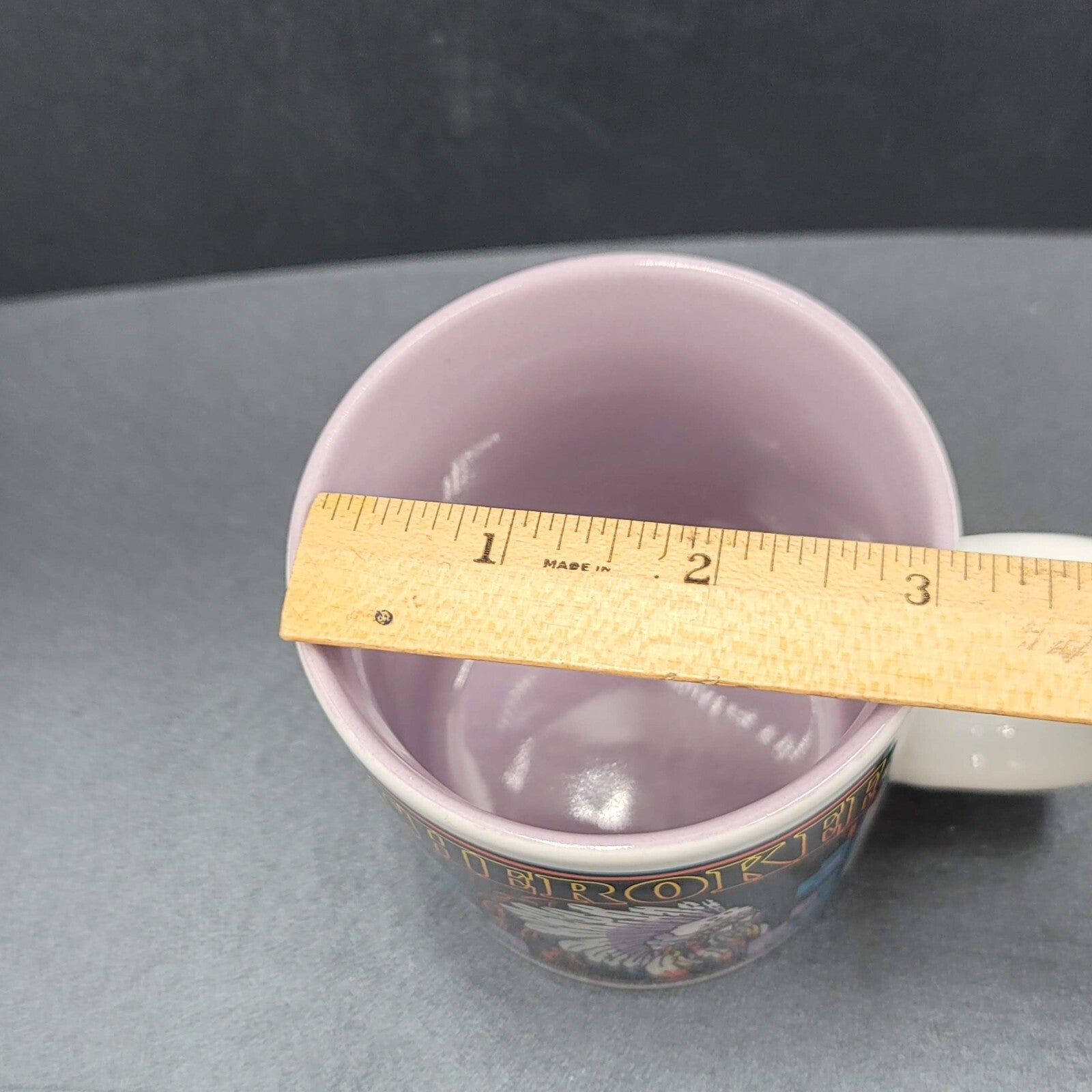 Vintage Cherokee Coffee Mug Souvenir Native American  Purple White