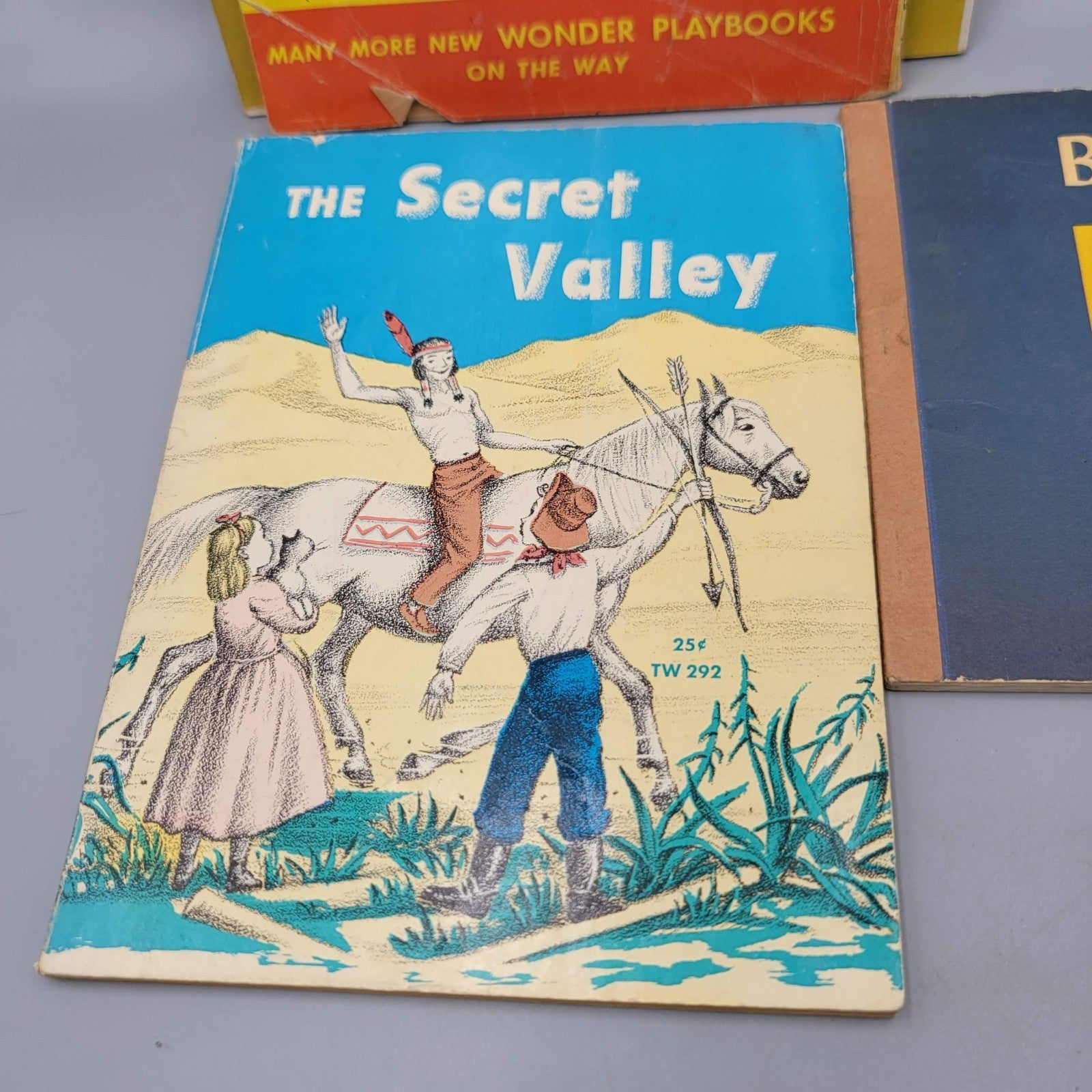 Vintage Childrens Book Lot Scholastic MCM Animal Detective Paper Playbook etc