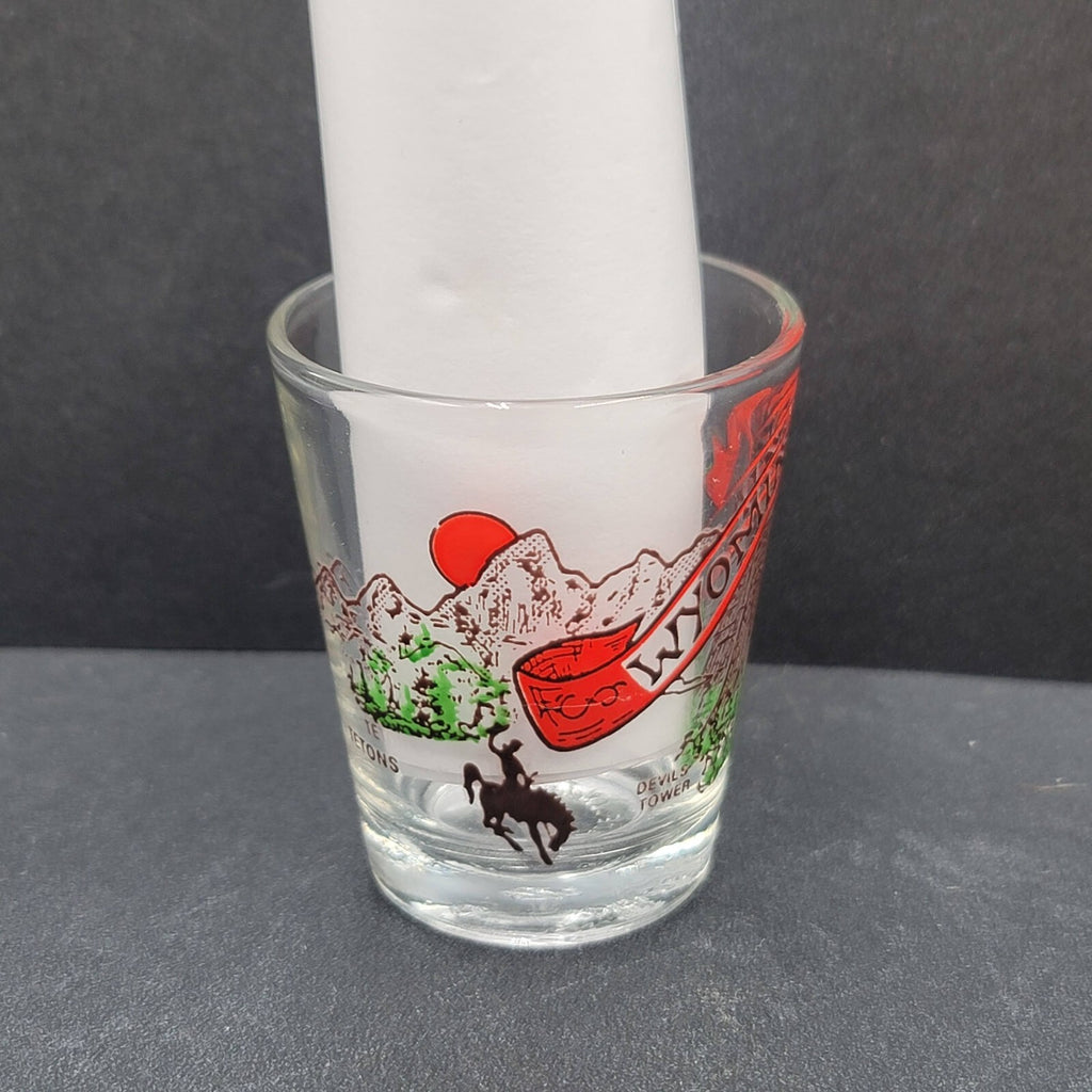 Vintage Wyoming Enamel Embossed Shot Glass USA Souvenir