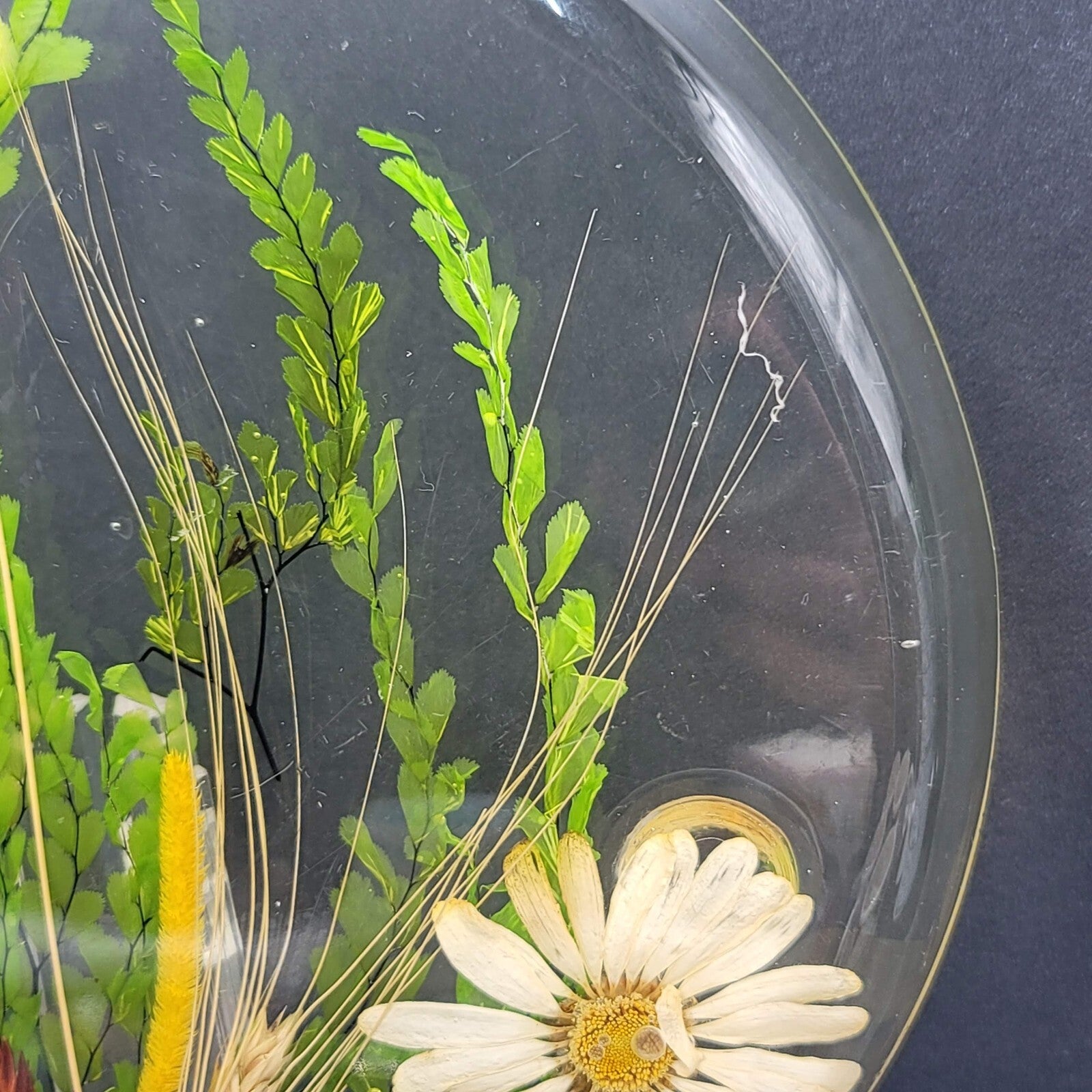 Vintage MCM Lucite Resin Dried Flower Round Footed Trivet 8 in
