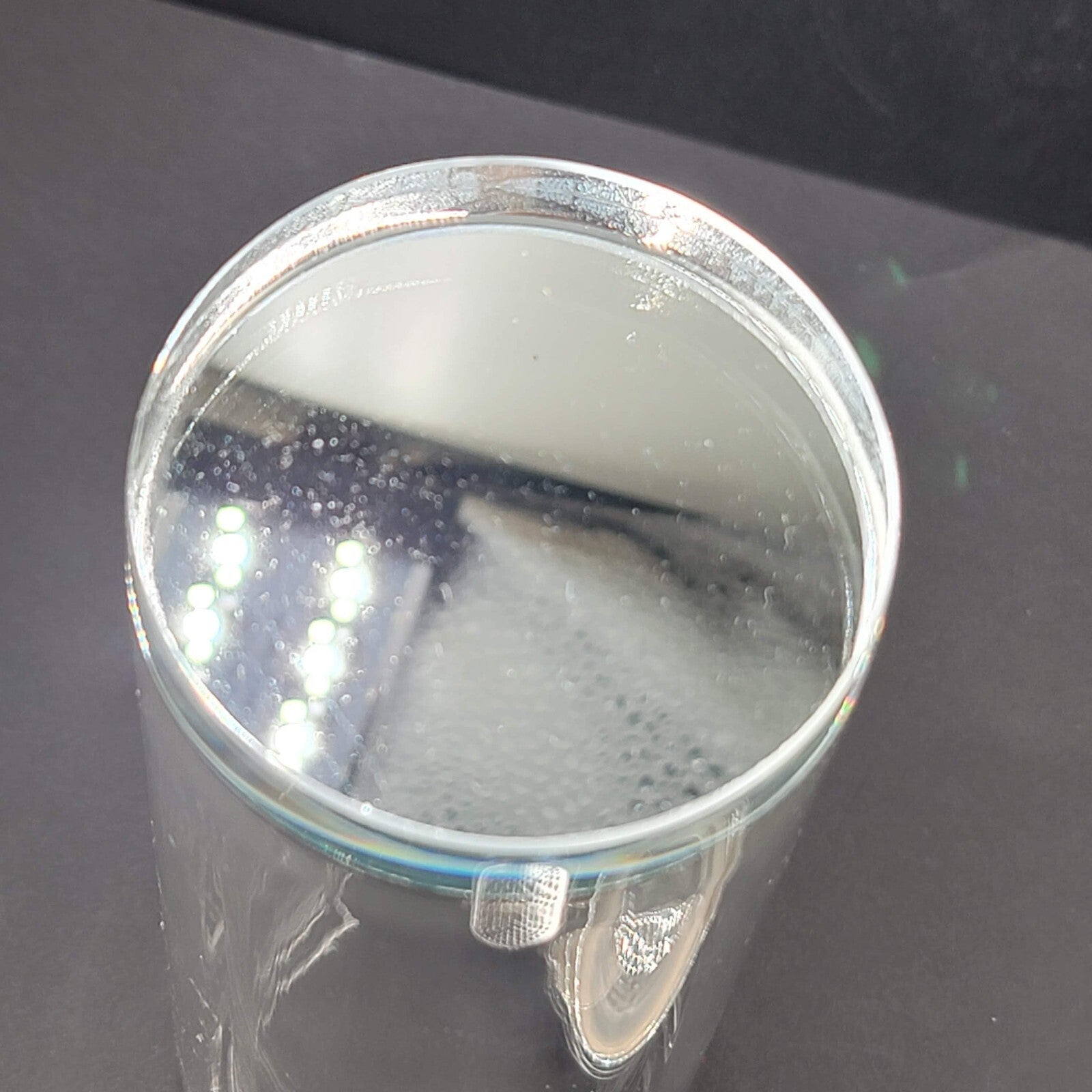 Wolong Glass Tea Infuser Bottle Double Wall Portable Tea Tumbler 460mL