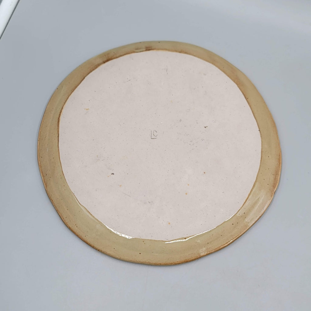 Chautauqua Souvenir Plate Colorado Artisan Pottery 8 in