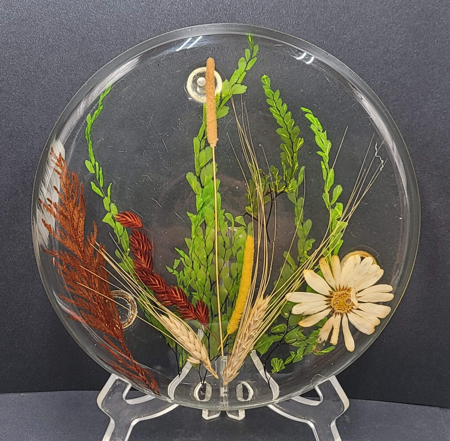 Vintage MCM Lucite Resin Dried Flower Round Footed Trivet 8 in
