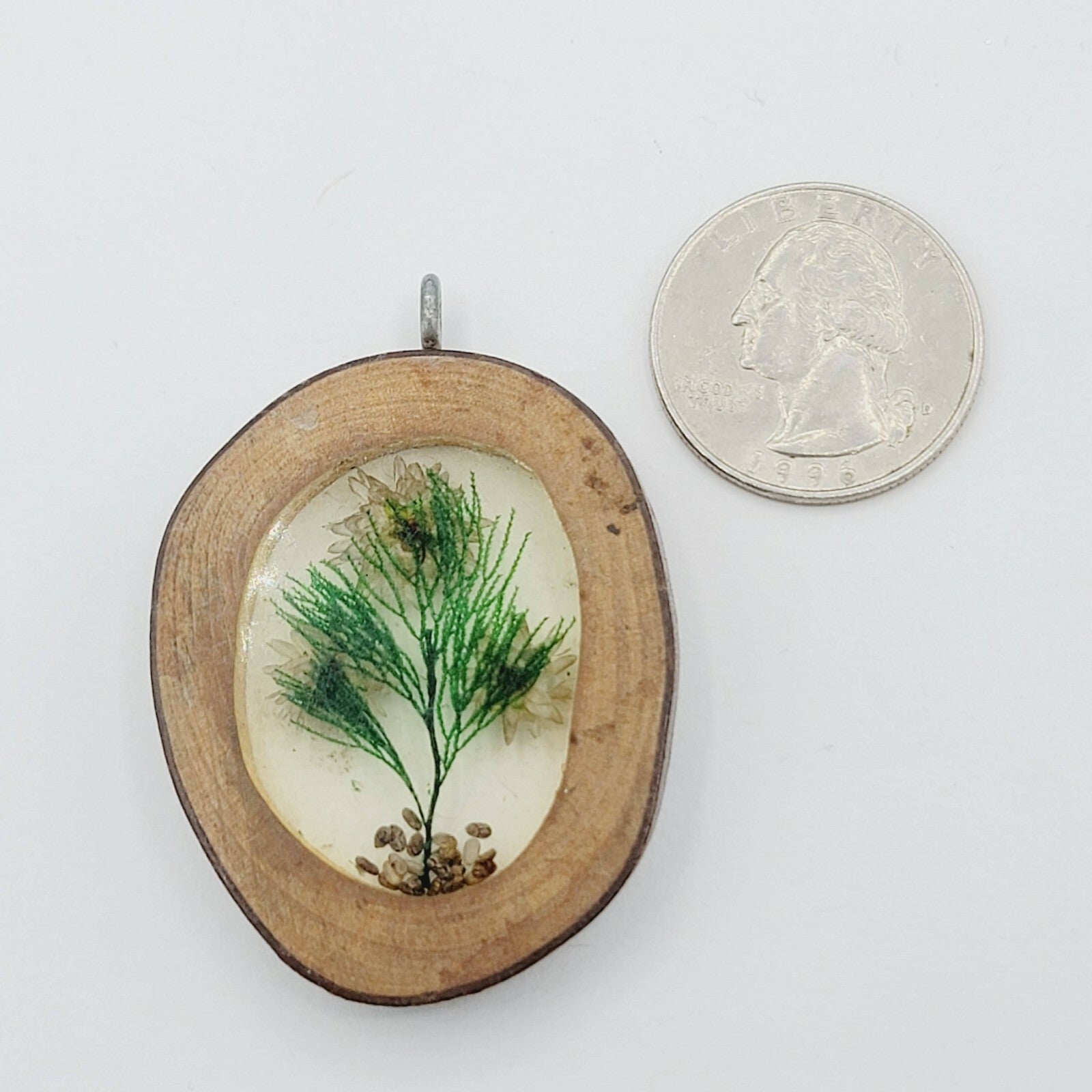 Vintage Oval Shaped Pendant Lucite Dried Flowers Wood Frame 