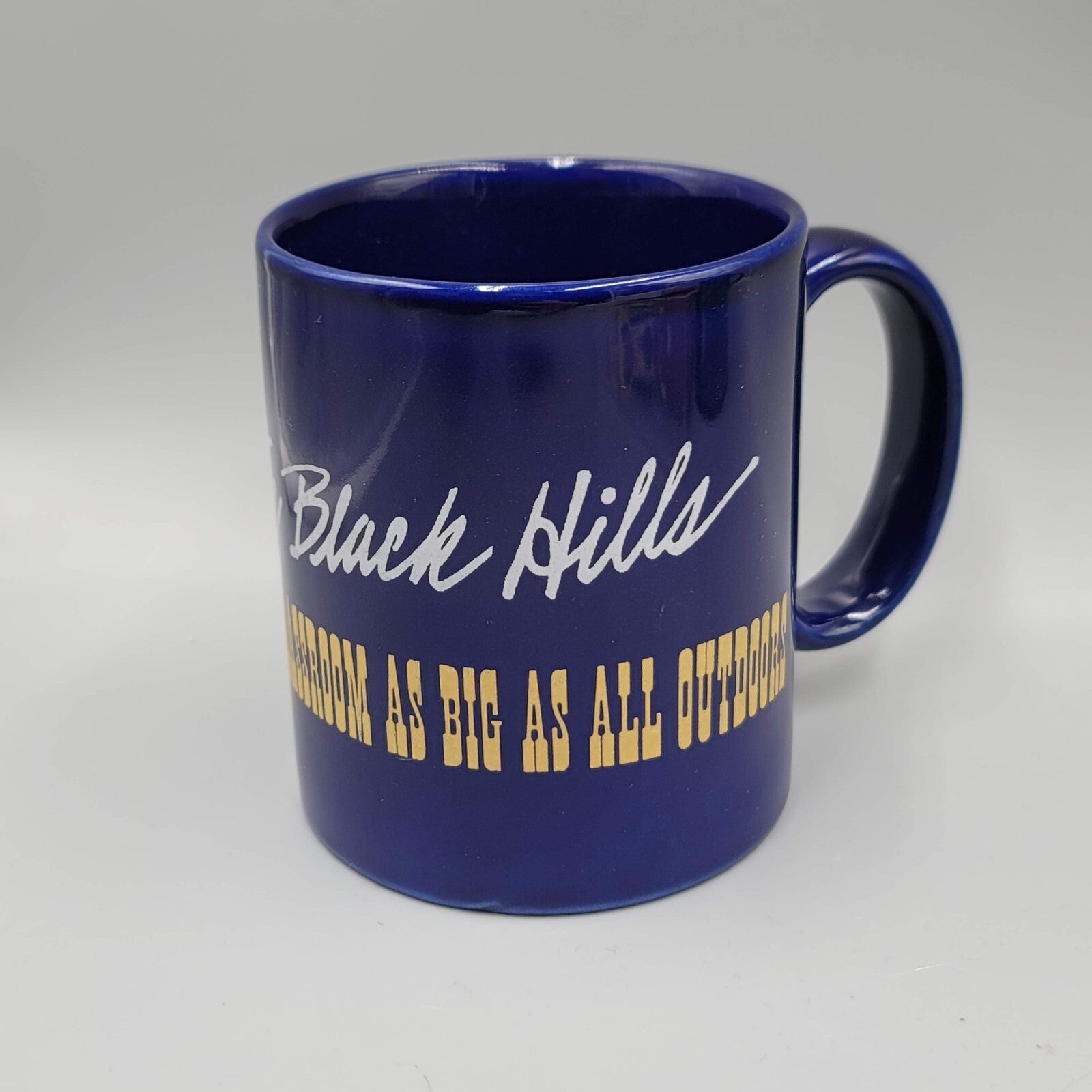 Wheaton College Science Station Coffee Mug Cup The Black Hills Souvenir