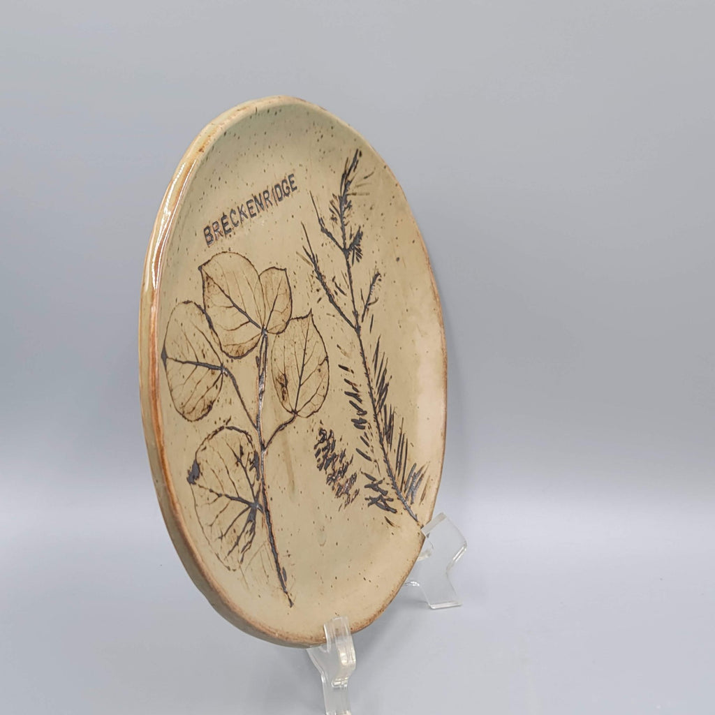 Chautauqua Souvenir Plate Colorado Artisan Pottery 8 in