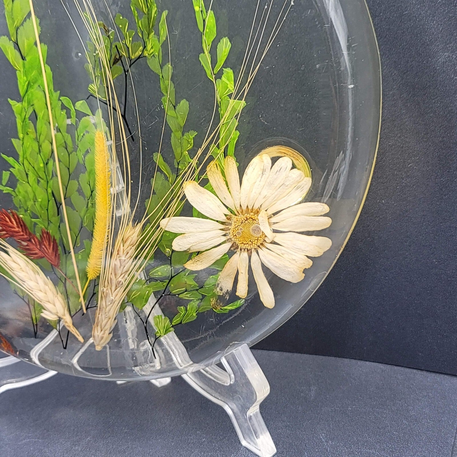 Vintage MCM Lucite Resin Dried Flower Round Footed Trivet 8 in