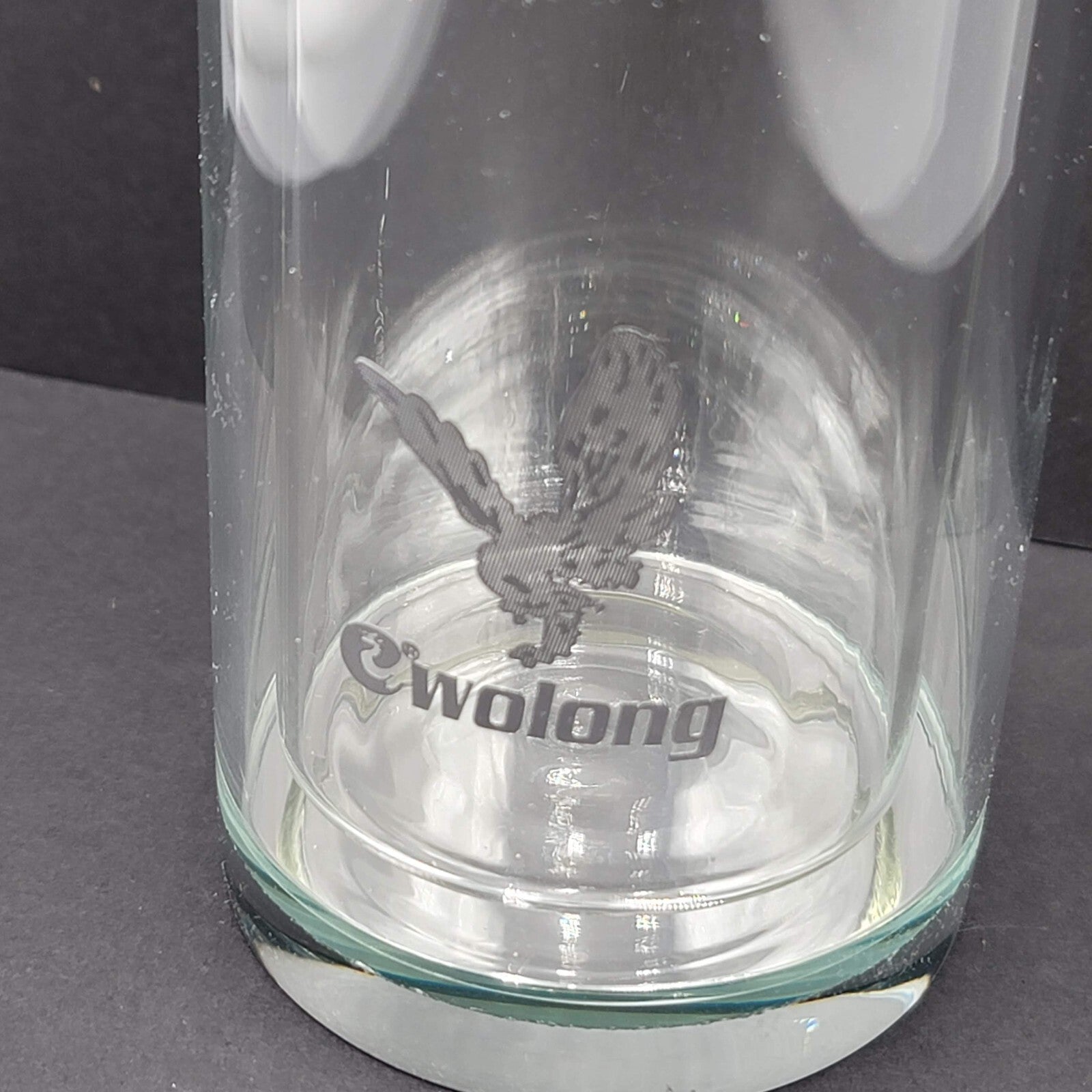 Wolong Glass Tea Infuser Bottle Double Wall Portable Tea Tumbler 460mL
