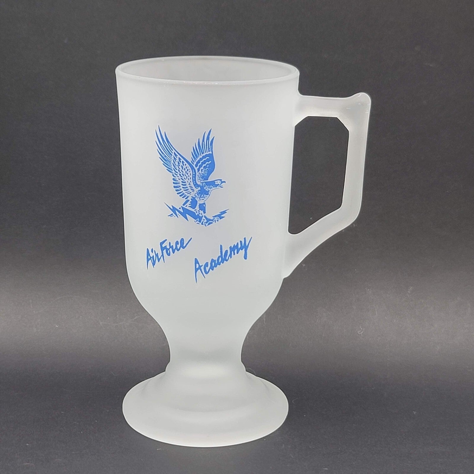 Vintage Frosted Air Force Academy Mug Blue Embossed