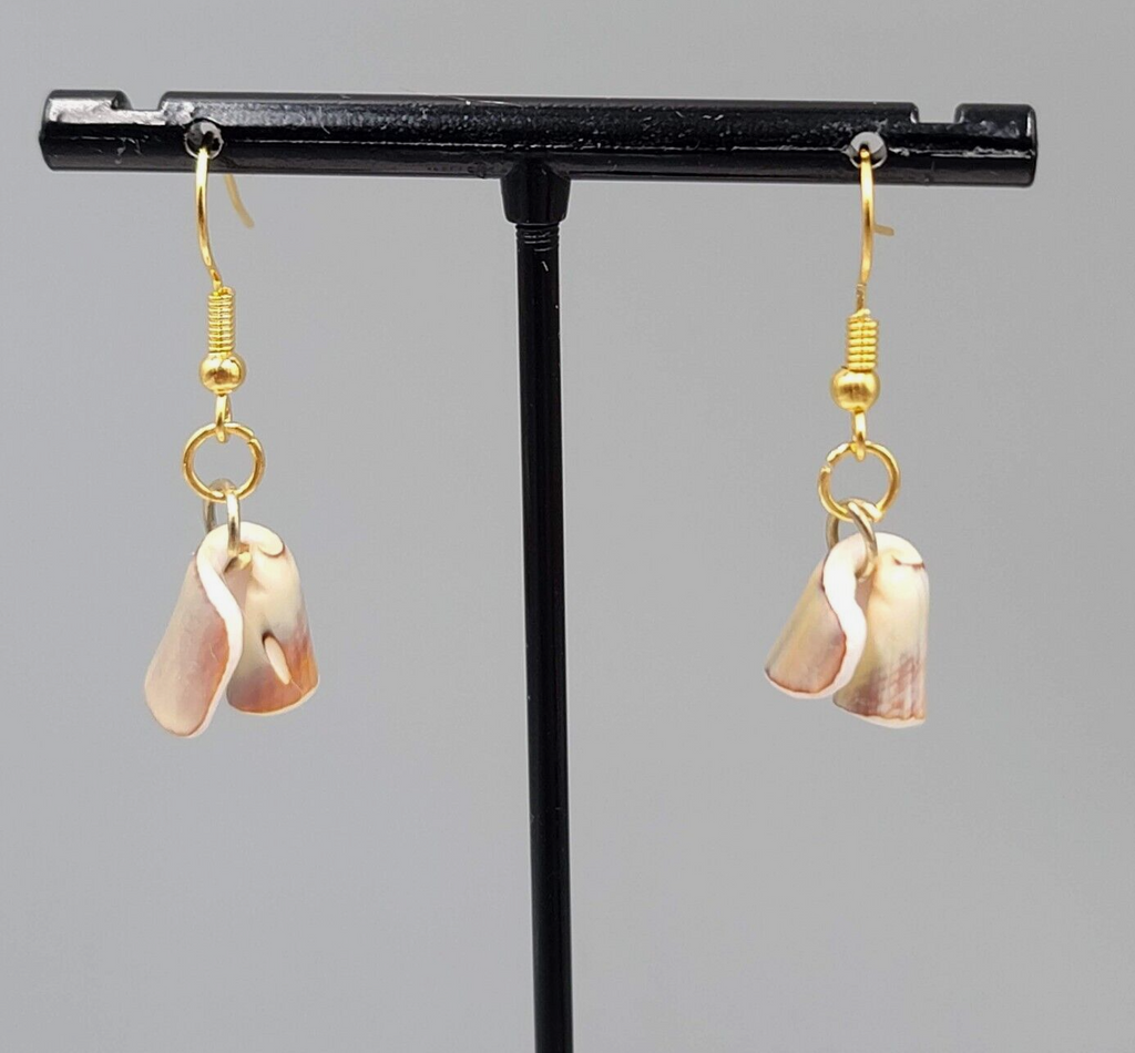 Real Shell Pierced Earrings Gold tone Dangle 3/4"