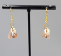 Real Shell Pierced Earrings Gold tone Dangle 3/4"