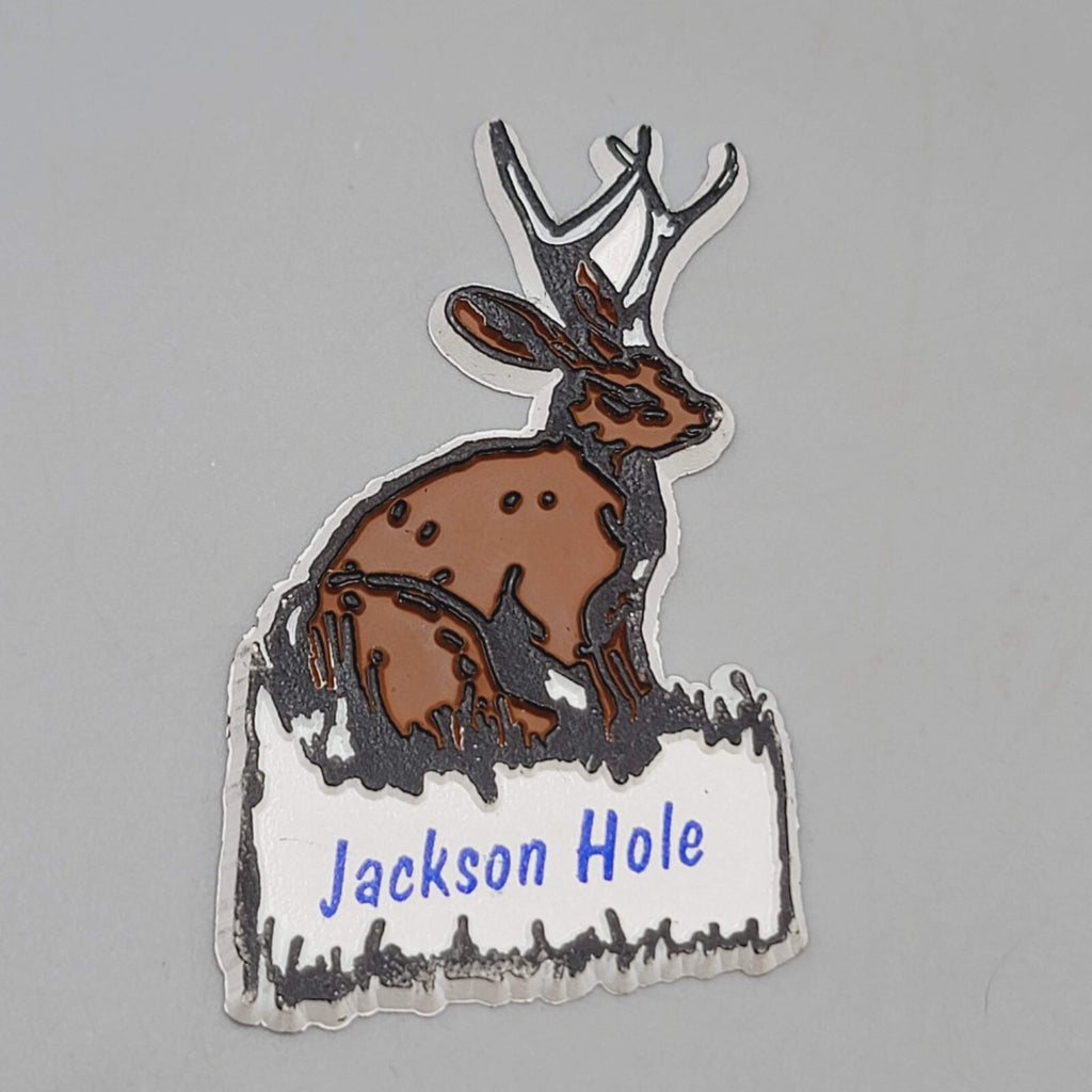 Vtg Jackson Hole WY Rubber Refrigerator Magnet Jackalope Travel Souvenir