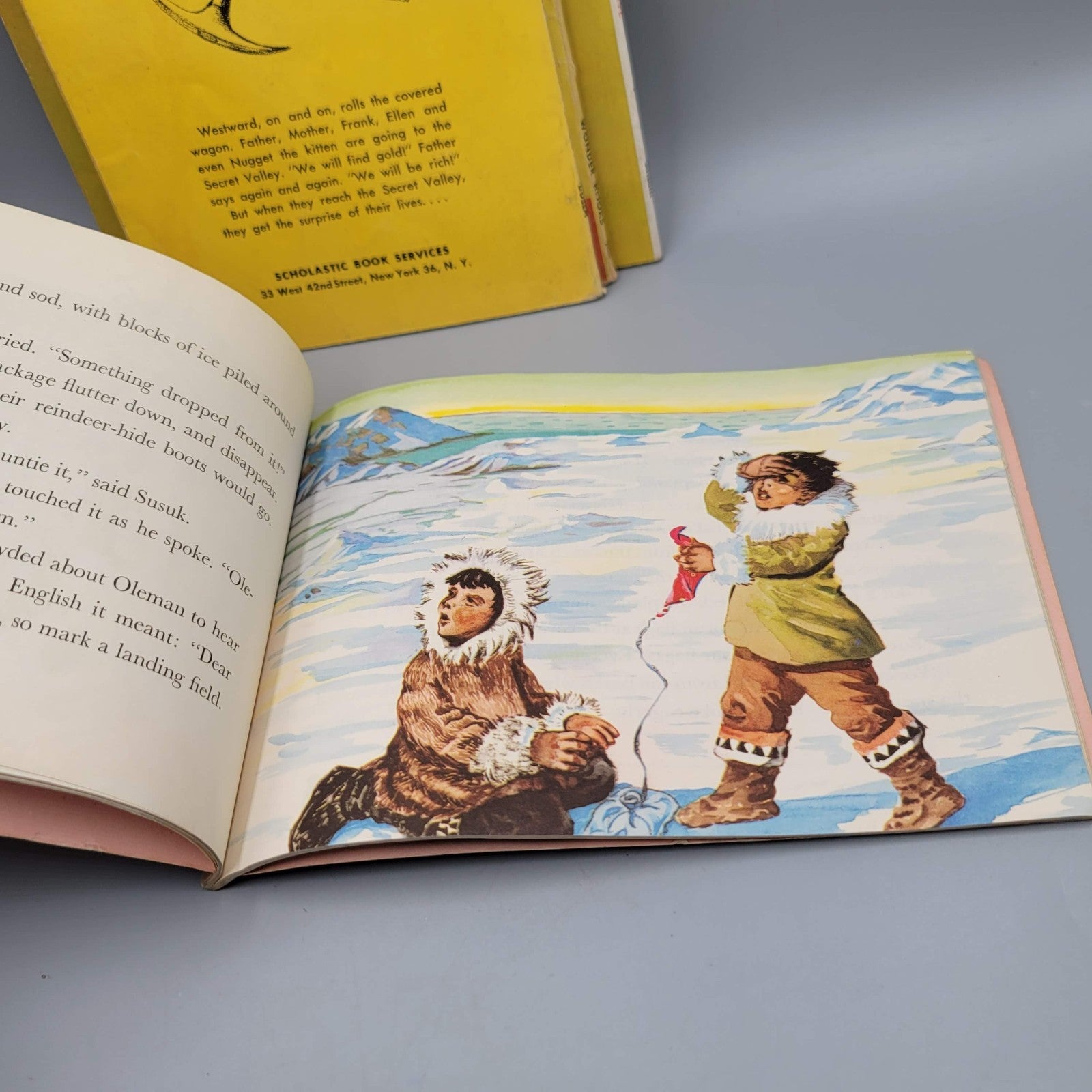 Vintage Childrens Book Lot Scholastic MCM Animal Detective Paper Playbook etc