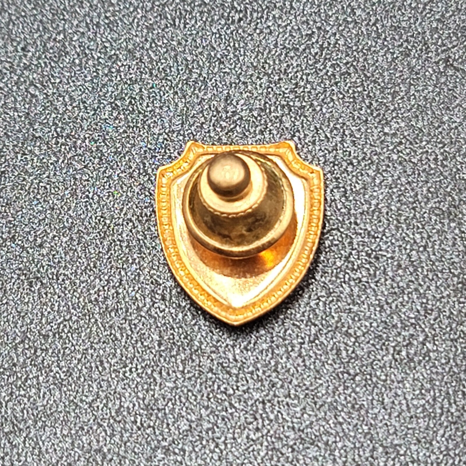 Vintage Celebration Cruise Lines Lapel Pin Gold tone Shield 3/4"